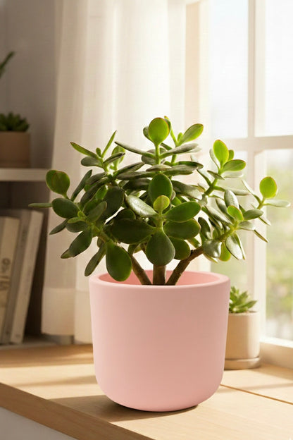 Jade