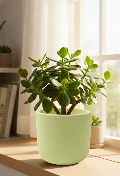Jade