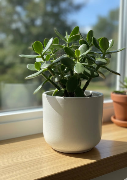 Jade