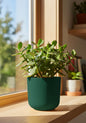 Jade